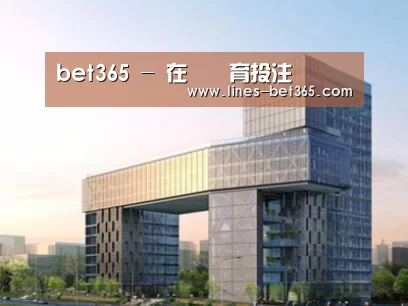 案例展示四