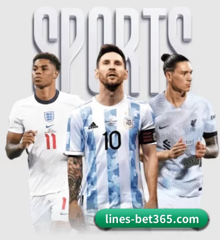 bet365五大内容板块,覆盖赛事直播与实时比分