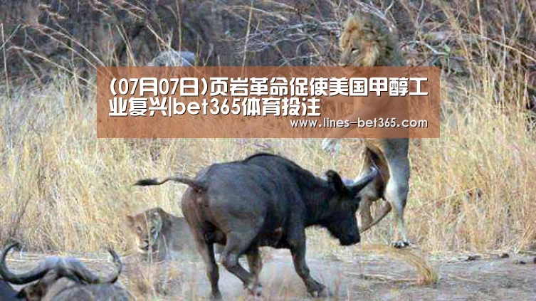 (07月07日)页岩革命促使美国甲醇工业复兴|bet365体育投注(图2) bet365亚洲体育